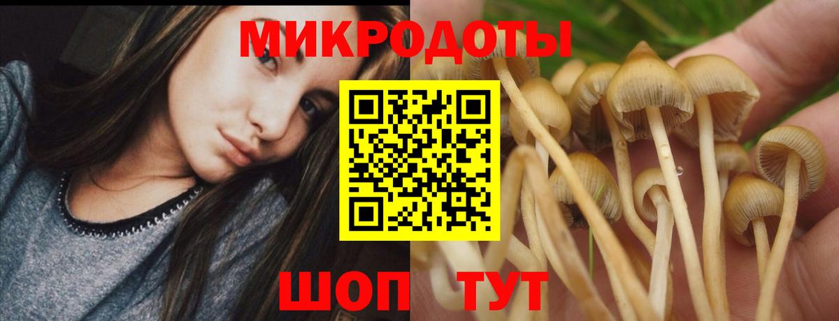 Псилоцибиновые грибы Cubensis  Вход с VPN  Тихвин 
